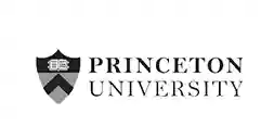 Princeton University Logo Grey Princeton University logo – our SAT students have been accepted here